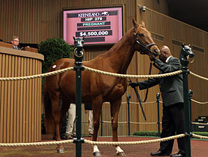 Pure Clan Sells for $4.5 Million at Keeneland Pure Clan Sells for $4.5 Million at Keeneland