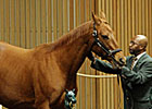 Young, Beautiful Shine on Keeneland Day 2