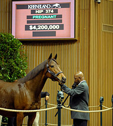 Changing Skies Brings $4.2M at Keeneland Changing Skies Brings $4.2M at Keeneland