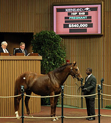 Tell It, Half to Pulpit, Brings $540,000 Tell It, Half to Pulpit, Brings $540,000