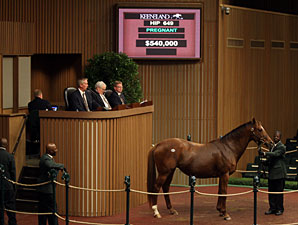Keeneland Day 3: Picky Buyers Shop Carefully Keeneland Day 3: Picky Buyers Shop Carefully