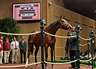 Keeneland Sale Opens With $4.2 Million Topper