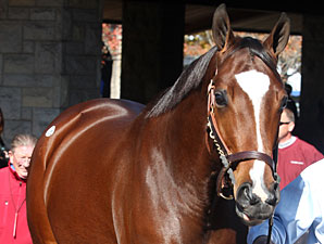 Pope Spends $4.2 Million on Plum Pretty Pope Spends $4.2 Million on Plum Pretty