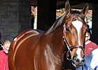 Pope Spends $4.2 Million on Plum Pretty Pope Spends $4.2 Million on Plum Pretty