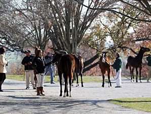Atrea Tops Session Five at Keeneland Sale Atrea Tops Session Five at Keeneland Sale