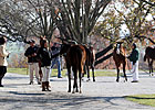 Atrea Tops Session Five at Keeneland Sale Atrea Tops Session Five at Keeneland Sale