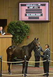 Wertheimers Buy Lady of Shamrock for $2M Wertheimers Buy Lady of Shamrock for $2M