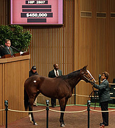 $450,000 General Election Tops at Keeneland $450,000 General Election Tops at Keeneland