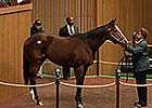 $450,000 General Election Tops at Keeneland $450,000 General Election Tops at Keeneland