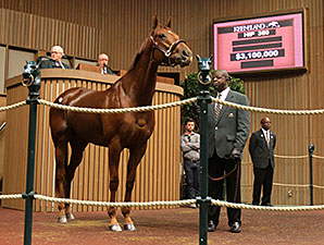 Mandy Pope Purchases Groupie Doll for $3.1M Mandy Pope Purchases Groupie Doll for $3.1M