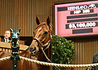 Groupie Doll Biggest Star of Keeneland Day 2 Groupie Doll Biggest Star of Keeneland Day 2