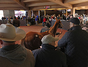 Keeneland's November Juggernaut Rolls On Keeneland's November Juggernaut Rolls On