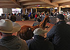 Keeneland's November Juggernaut Rolls On Keeneland's November Juggernaut Rolls On