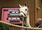 Keeneland November: Day 1 Recap Keeneland November: Day 1 Recap