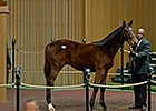 Keeneland Session Levels Out With Late Burst Keeneland Session Levels Out With Late Burst
