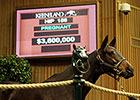 Seven Millionaires Launch Keeneland November Seven Millionaires Launch Keeneland November