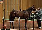 WinStar Horses Headline Keeneland Day 8 WinStar Horses Headline Keeneland Day 8