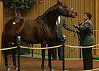 Don Alberto Strikes Again With $1.8M Mare Don Alberto Strikes Again With $1.8M Mare