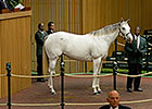 Egg Drop Sells for $1.9 Million at Keeneland Egg Drop Sells for $1.9 Million at Keeneland