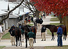 'Vibrant' Keeneland Sale Ends With Gains 'Vibrant' Keeneland Sale Ends With Gains