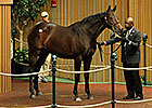 Seven-Figure Horses Already Pass 2012 Total Seven-Figure Horses Already Pass 2012 Total