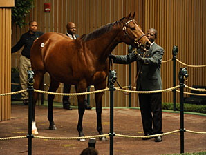 Cat Moves Sells for $2.4 Million at Keeneland Cat Moves Sells for $2.4 Million at Keeneland