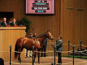 Prices Sizzle as Keeneland Nov. Sale Opens Prices Sizzle as Keeneland Nov. Sale Opens
