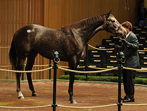 Half to Saint Liam Commands $2 Million Half to Saint Liam Commands $2 Million