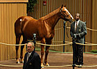 Weekend Strike Sells for $2.3 Million Weekend Strike Sells for $2.3 Million