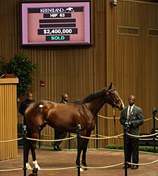 Buster's Ready Brings $2.4 Million Buster's Ready Brings $2.4 Million