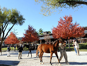 Half Sister to Uncle Mo Tops Keeneland Day 5 Half Sister to Uncle Mo Tops Keeneland Day 5
