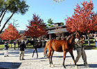 Half Sister to Uncle Mo Tops Keeneland Day 5 Half Sister to Uncle Mo Tops Keeneland Day 5