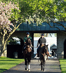 Keeneland Introduces Mobile Wagering App Keeneland Introduces Mobile Wagering App