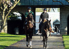 Keeneland Introduces Mobile Wagering App