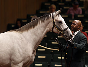 Tapit Colt Tops Second Session at $700,000 Tapit Colt Tops Second Session at $700,000