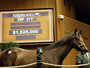 Distorted Humor Colt Leads Way at Keeneland