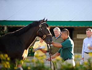 Keeneland Sale Remains Stronger Keeneland Sale Remains Stronger