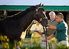 Keeneland Sale Remains Stronger