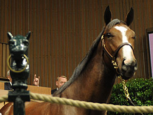 Malibu Moon Colt Brings $300,000 Sept. 19 Malibu Moon Colt Brings $300,000 Sept. 19