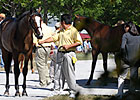 Six-Figure Filly Tops Keeneland's Day 12 Six-Figure Filly Tops Keeneland's Day 12
