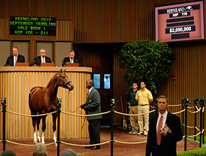Distorted Humor Colt Brings $2.050 Million Distorted Humor Colt Brings $2.050 Million