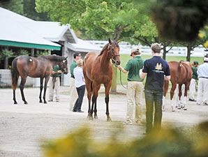 Keeneland Sale Posts Large Gains Sept. 17 Keeneland Sale Posts Large Gains Sept. 17