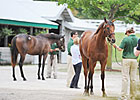 Keeneland Sale Posts Large Gains Sept. 17 Keeneland Sale Posts Large Gains Sept. 17