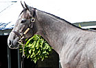 $1.3 Million Unbridled's Song Filly to Leon