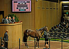Awesome Again Colt Goes for $1.35 Million