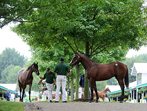State-Breds Entice Keeneland Yearling Buyers State-Breds Entice Keeneland Yearling Buyers