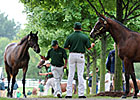 State-Breds Entice Keeneland Yearling Buyers State-Breds Entice Keeneland Yearling Buyers