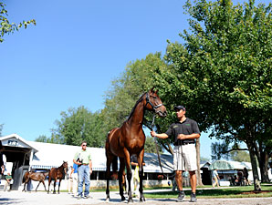 Sellers' Profits Up at Keeneland Sept. Sale Sellers' Profits Up at Keeneland Sept. Sale