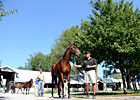 Adena Buys Three Top-Priced Yearlings Adena Buys Three Top-Priced Yearlings