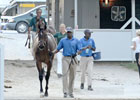 Keeneland September Sale Day 3 Wrap